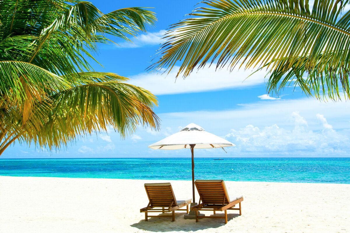 Beautiful landscape with sunbeds and umbrellas on the sandy beach